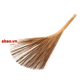 Chổi rễ